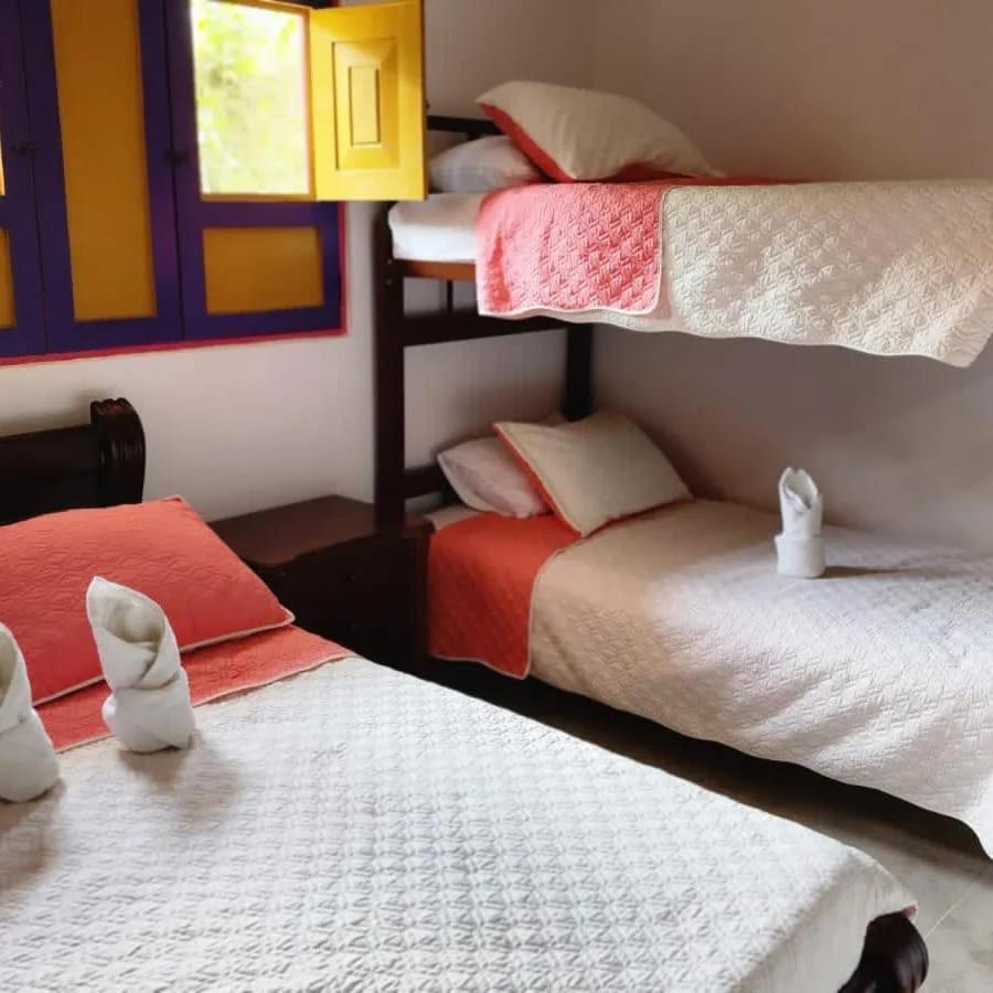 Albergue Palmas De Cocora