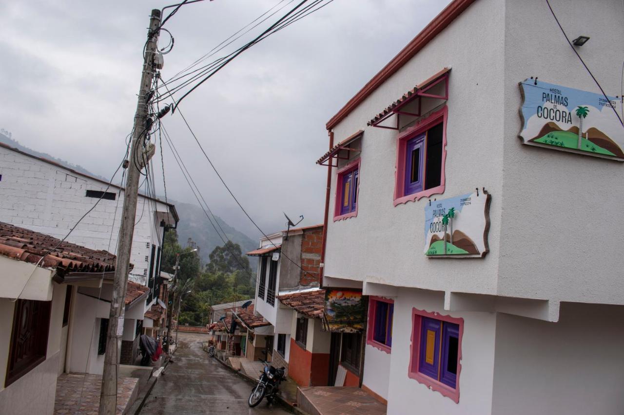 Palmas De Cocora Albergue