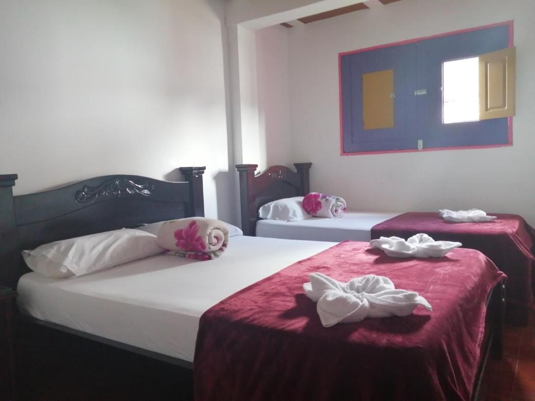 Albergue Palmas De Cocora